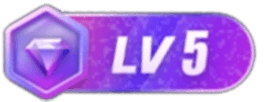 等级-LV5-XFGAME